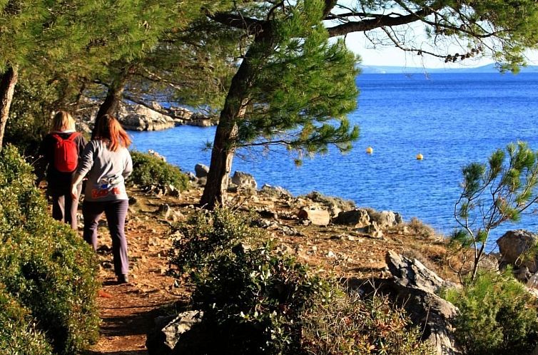 Appartement Geräumige Ferienwohnung mit Meerblick