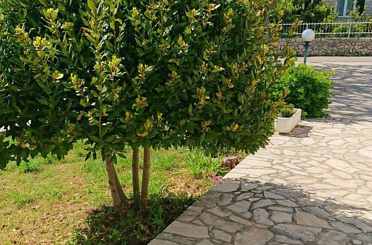 Appartement in Kampor mit Privatparkplatz