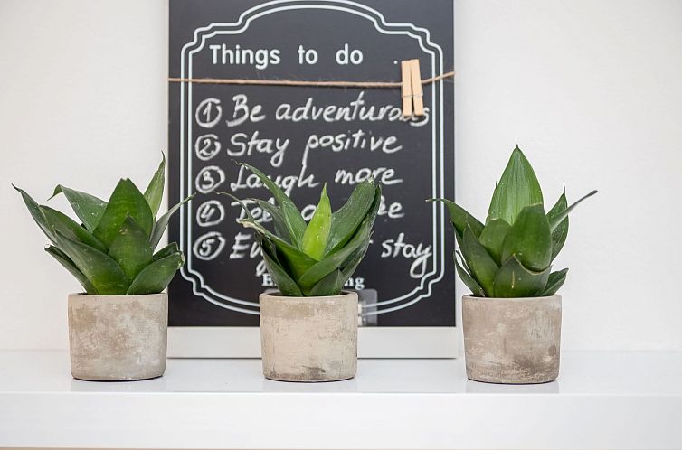 Appartement Rijeka Wohnungen "Studio Wohnung Terra II"