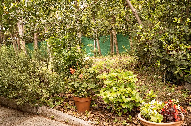 Vakantiehuis Tiny house Laurel - 70 Meter vom Strand entfern