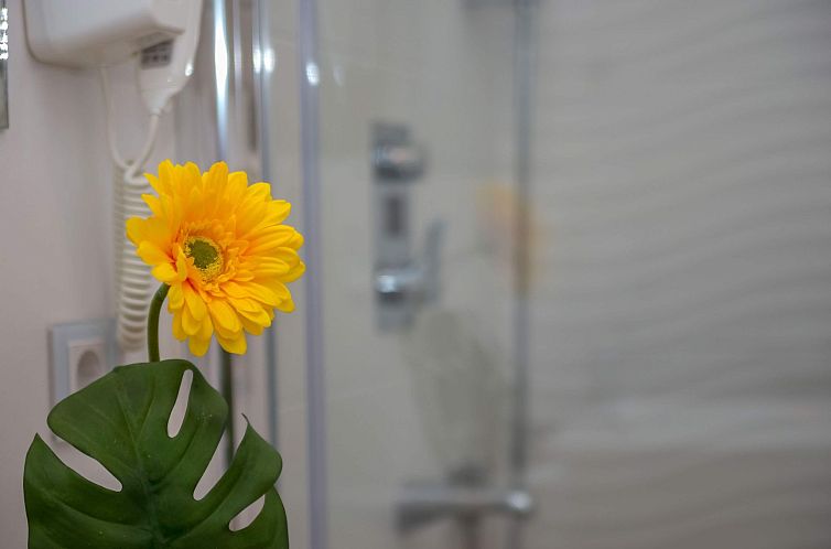 Appartement Wohnungen Rijeka Zentrum Terra I