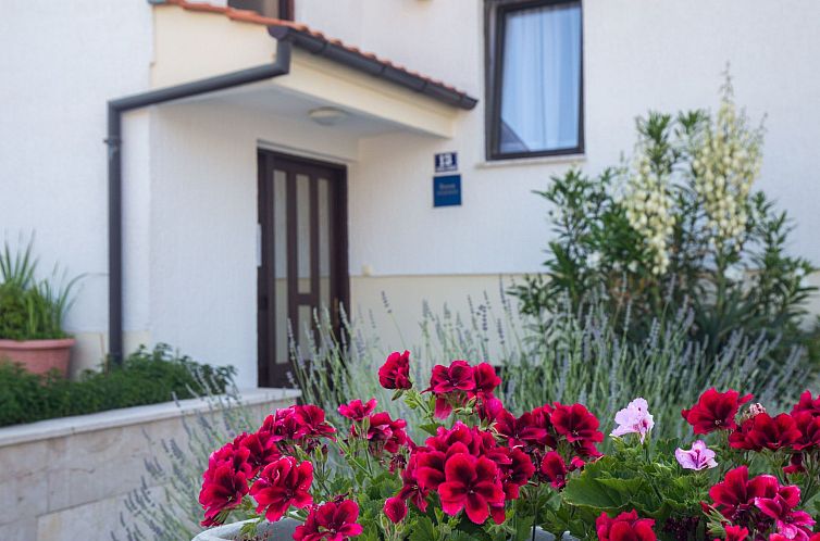 Appartement Apartmenthaus „Sean“ mit Parkplatz, Olivenha
