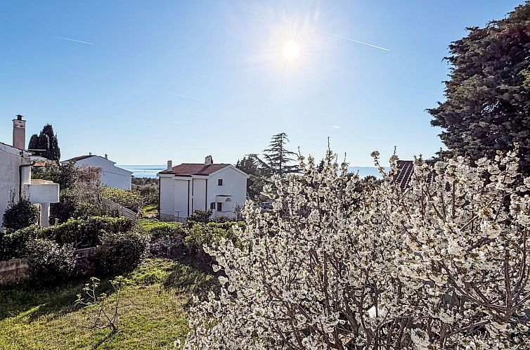 Appartement für 4 Personen ca. 75 m&sup2; in Punat, Adriak?