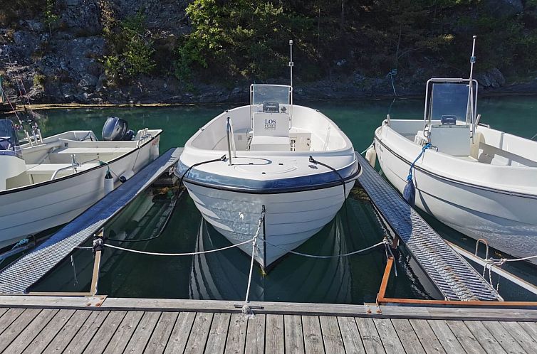 Vakantiehuis Tyttebærhytta