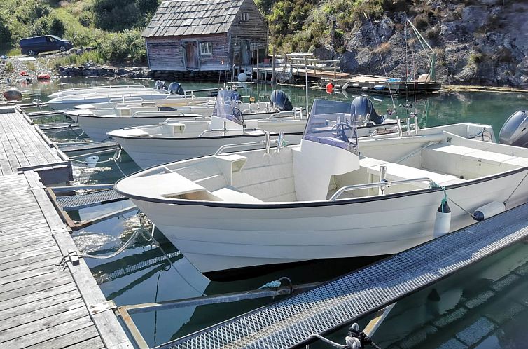 Vakantiehuis Tyttebærhytta