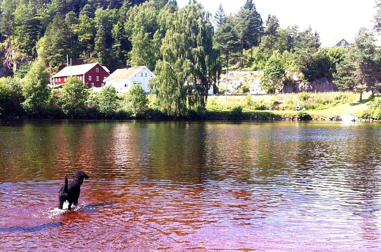 Vakantiehuis mit Blick auf das Wasser