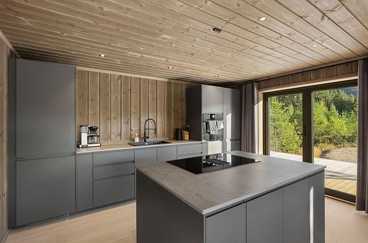 Vrijstaande woning in Vrådal