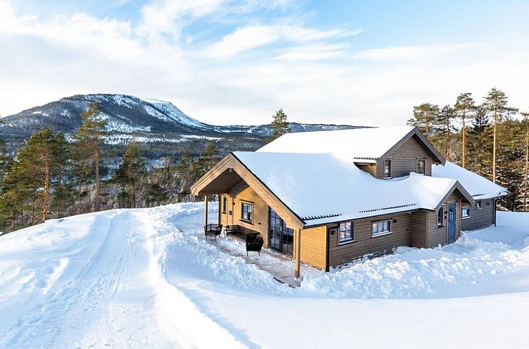 Huisje in Vrådal