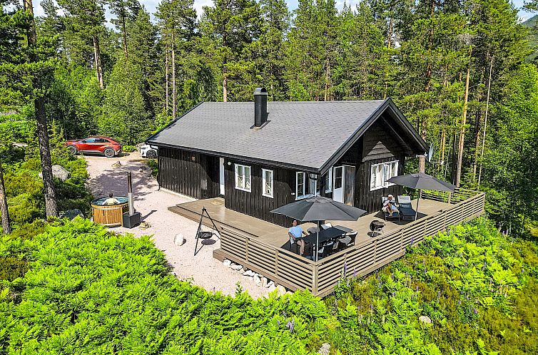 Unterkunft 1065746 - Ferienhaus Süd-Norwegen - Vakantiehuis Vrådal