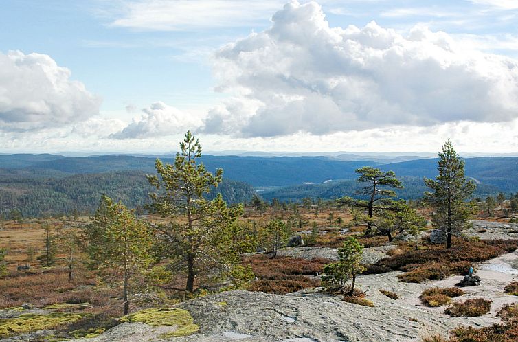 Vakantiehuis Skafjellstoga