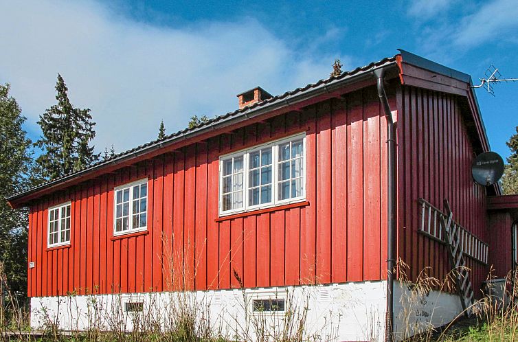 Verblijf 10713001 - Vakantiewoning Oost Noorwegen - Vakantiehuis Skeisvegen