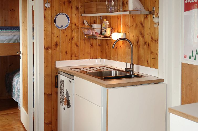 Vakantiehuis Skeisvegen