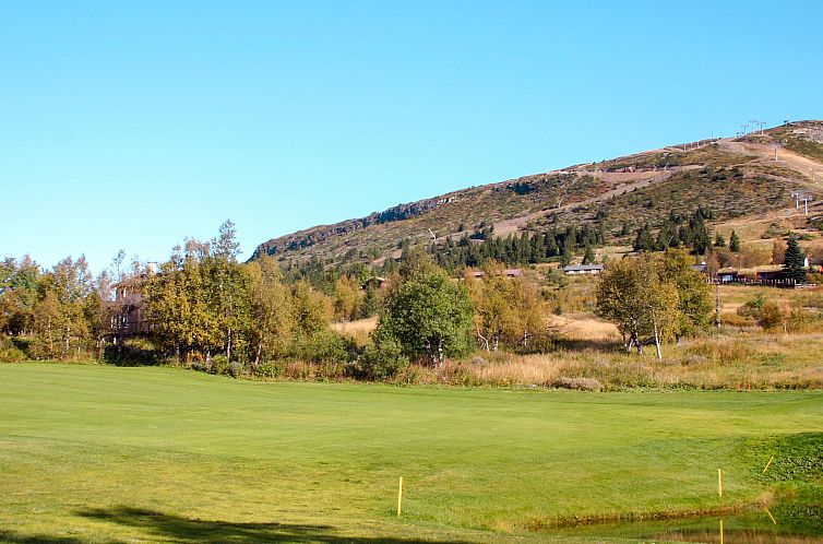 Vakantiehuis Skeisvegen