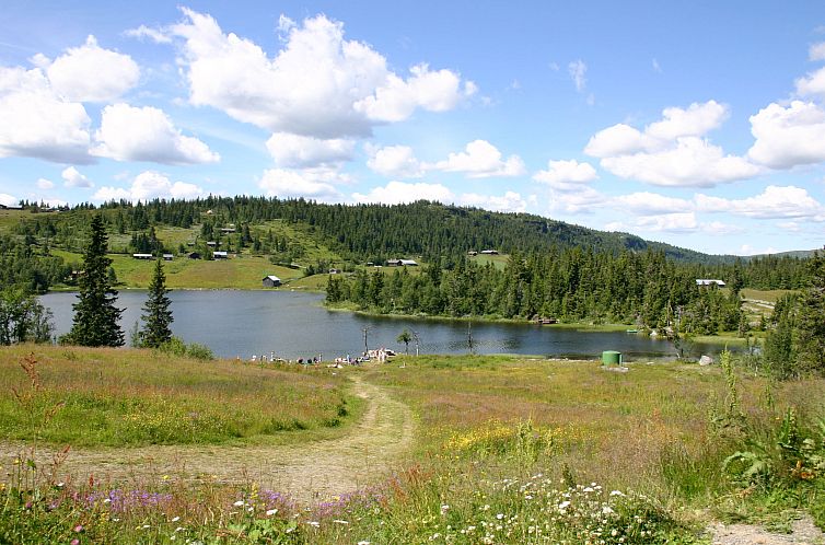 Vakantiehuis Skeisvegen