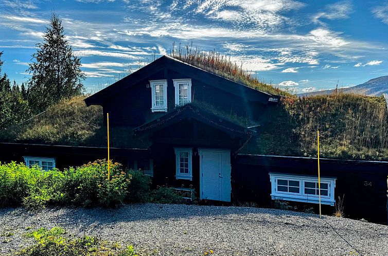 Vrijstaande woning in Trysil