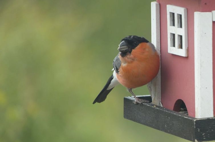 Vakantiehuisje in Østby