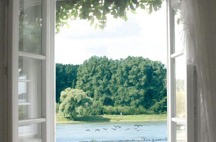 Rhein River Guesthouse - Art Hotel on the Rhine