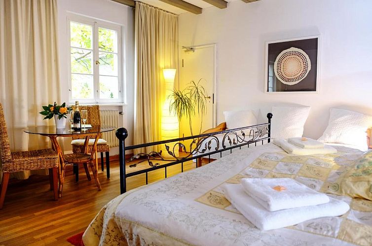 Rhein River Guesthouse - Art Hotel on the Rhine