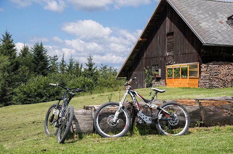 JUFA Hotel im Weitental - Bruck an der Mur