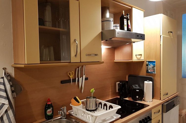 Appartement Vienna1090