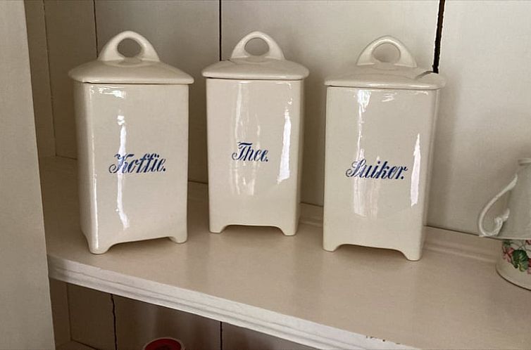 Vakantiehuisje in Langweer