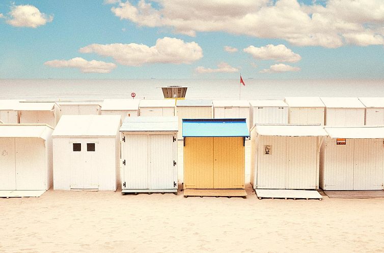 Suite met stadszicht | 4p