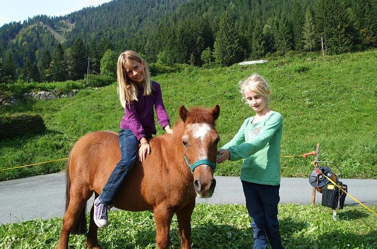 Ferienhof Obergasser und Bergblick