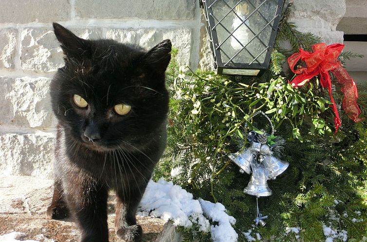 Appartement Eulenrast in Loich