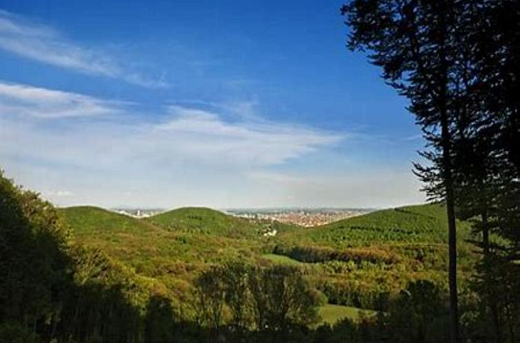 Wienerwaldblick