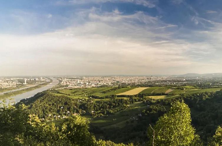 Wienerwaldblick