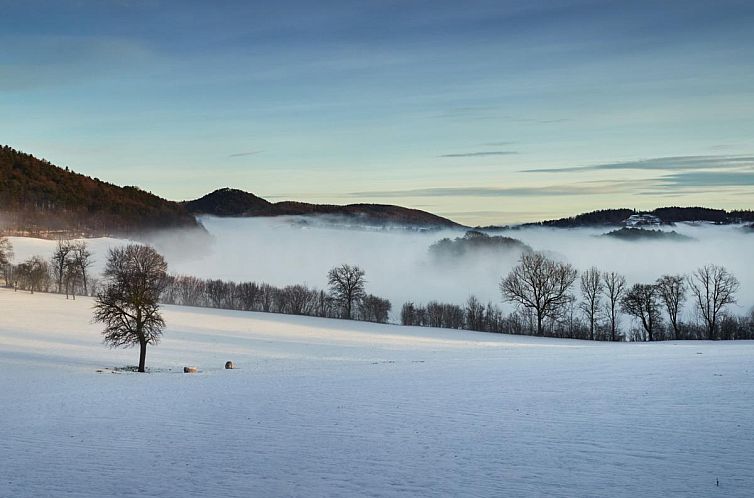 Wienerwaldblick