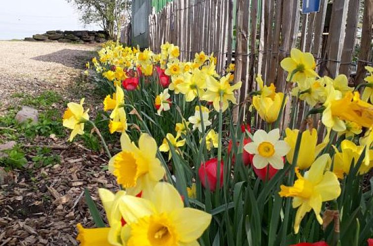 Bingers kleine Scheune