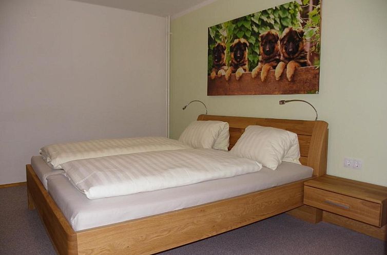 Ferienwohnung Ski-Hans