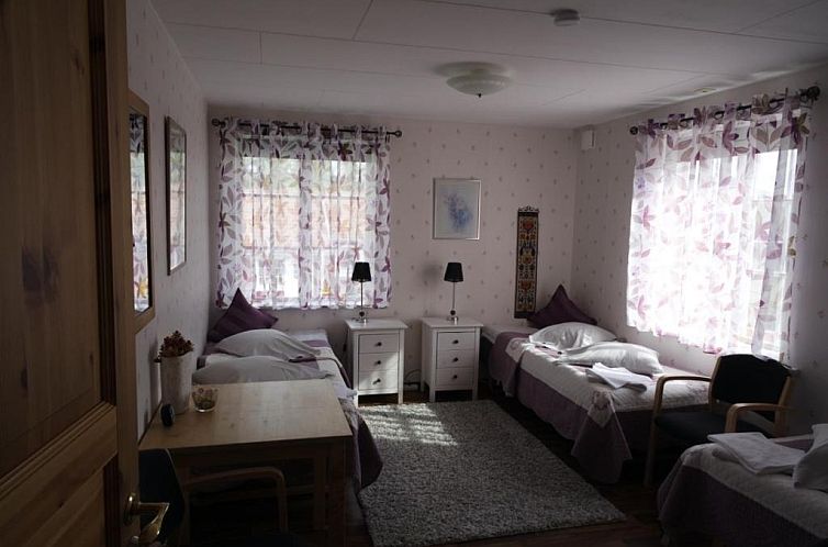 Hedemora Logi