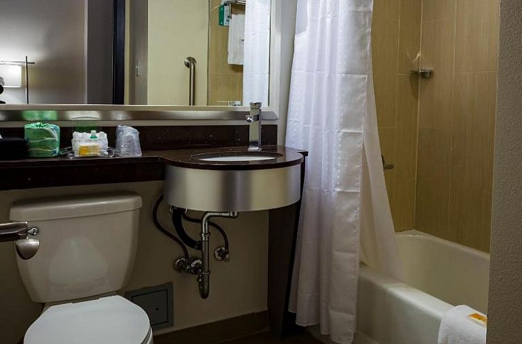 Holiday Inn Houston Downtown, an IHG Hotel