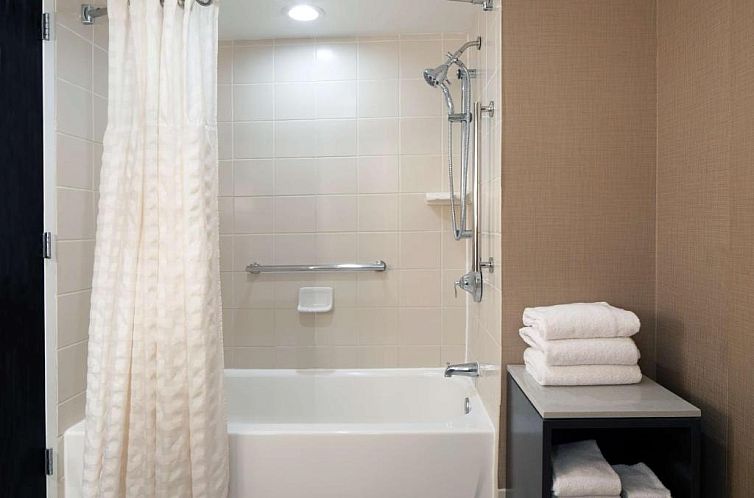 Embassy Suites by Hilton Houston Near the Galleria