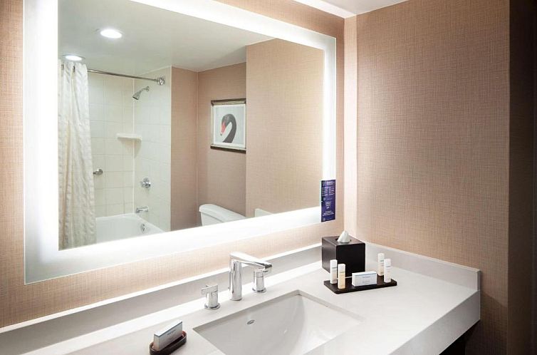 Embassy Suites by Hilton Houston Near the Galleria