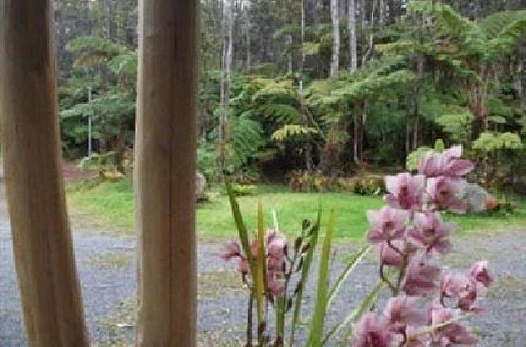 Aloha Crater Lodge and Lava Tube Tours