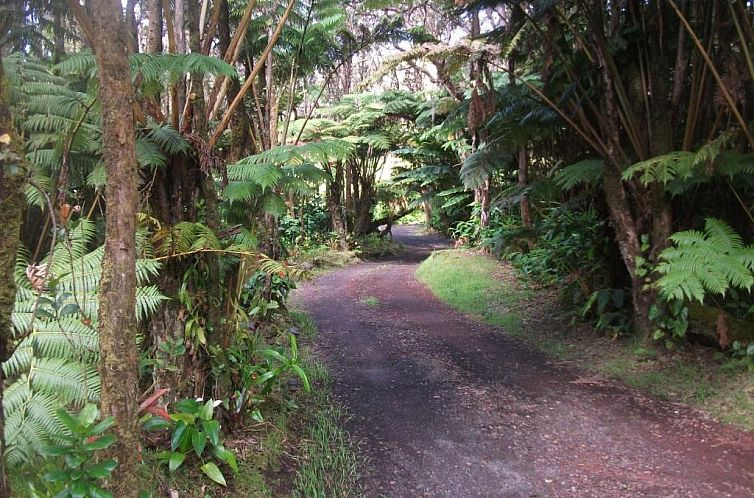 Aloha Crater Lodge and Lava Tube Tours