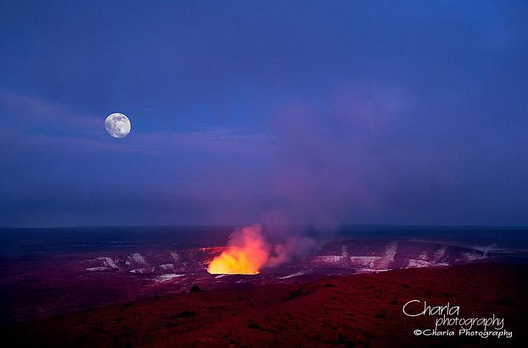 Aloha Junction Bed & Breakfast