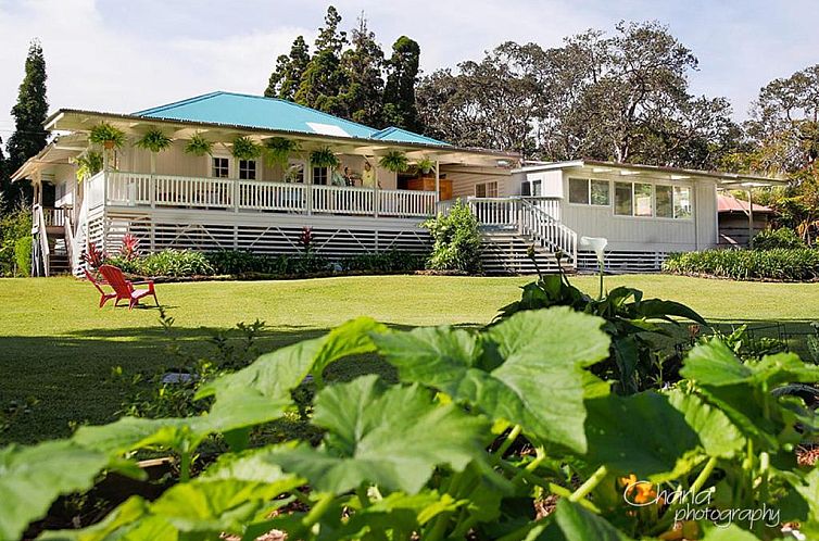 Aloha Junction Bed & Breakfast