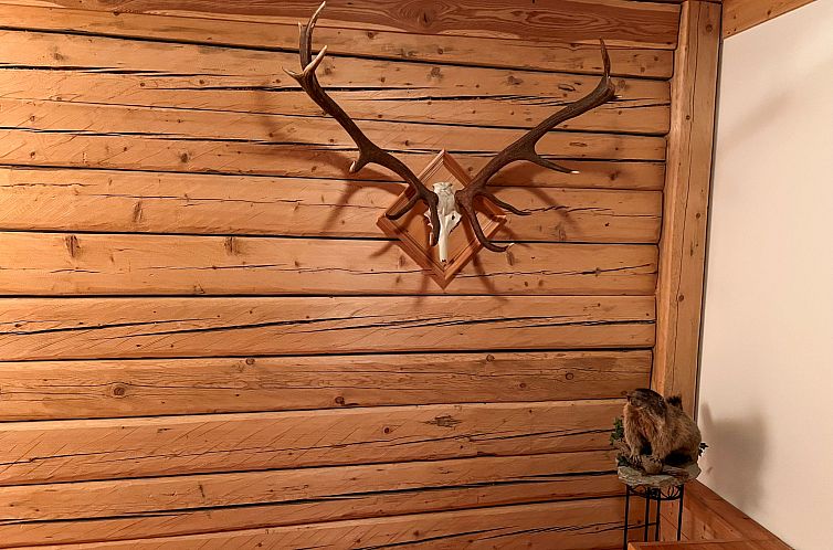 Appartement Haslinghof