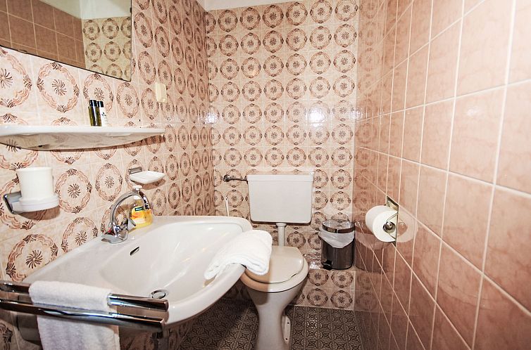 Vakantiehuis Chalet Alpin