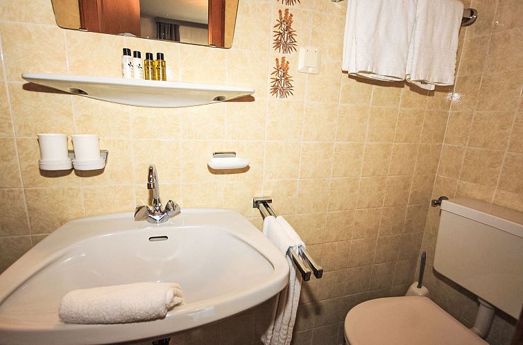 Vakantiehuis Chalet Alpin