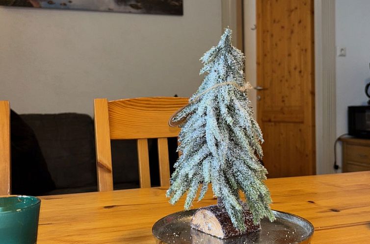 Appartement 2_KAP-9-Cosy Kaprun Apartment