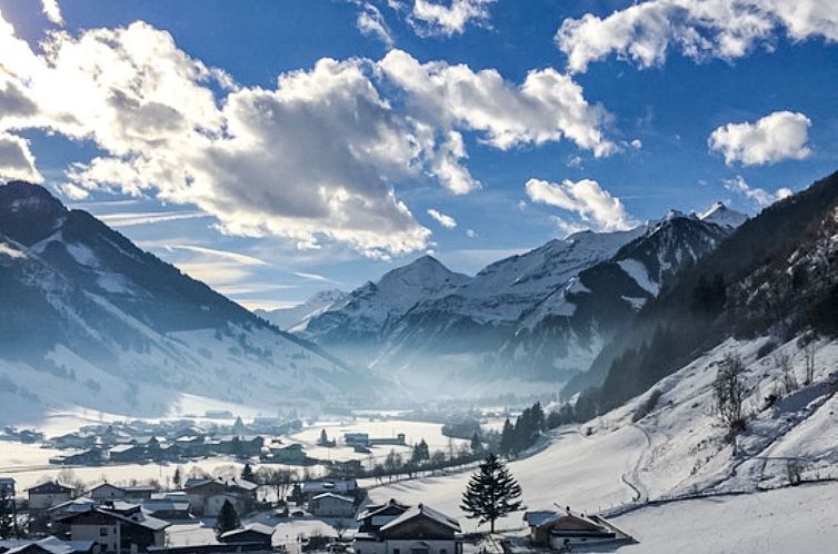 Appartement Schönblick Mountain Resort