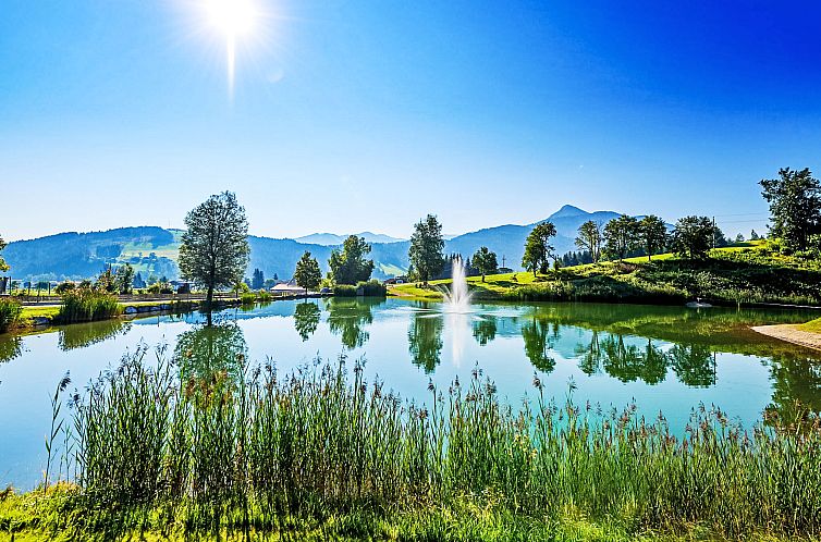 Appartement Dachstein Top 27