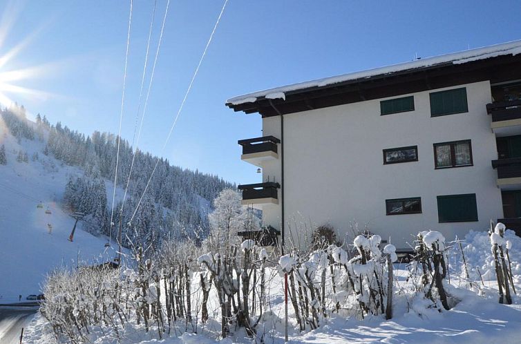 My Mountain next door