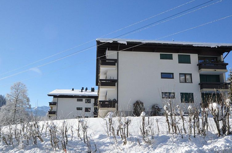 My Mountain next door