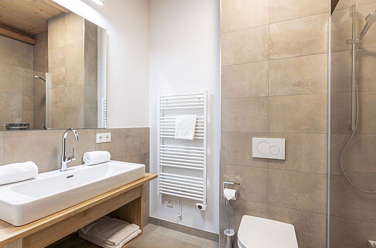Appartement 6_ALP - Premium Tauernstyle Golling